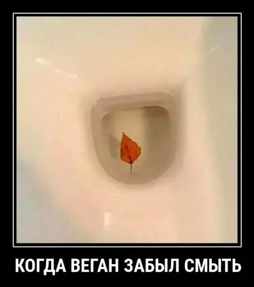 Смешная картинка №311762