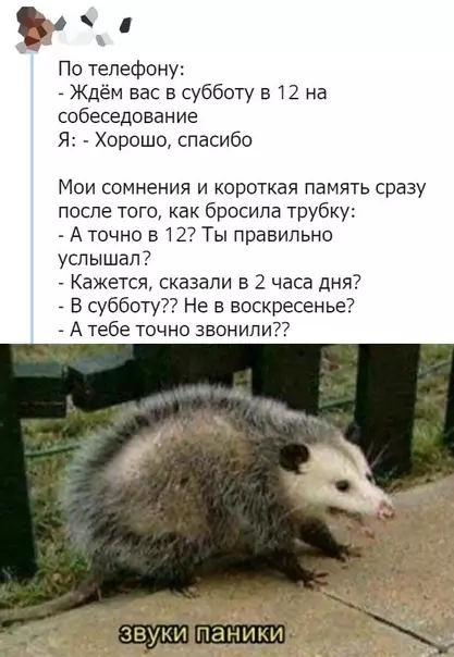 Смешная картинка №378546
