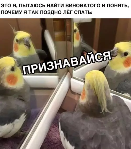 Смешная картинка №317380