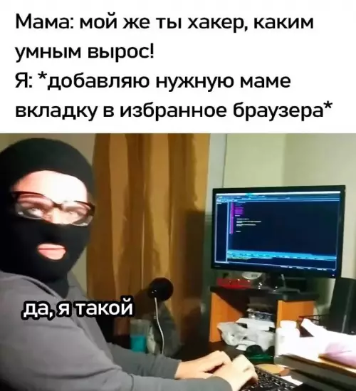 Уровень хакера: Боги интернета 💻😎 - Мама: мой же ты хакер, каким умным вырос! Я: добавляю