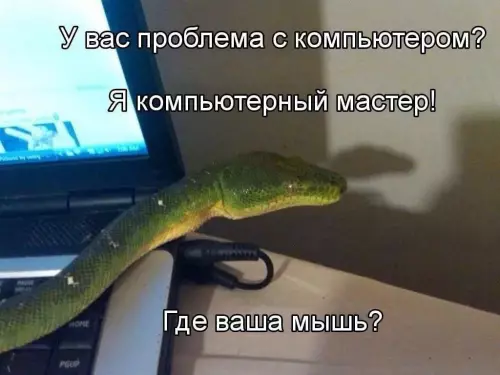 Смешная картинка №780782