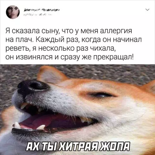 Смешная картинка №596669