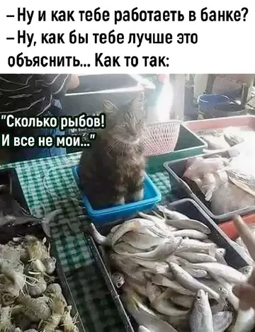Смешная картинка №737396