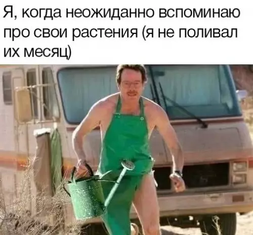 Смешная картинка №734044