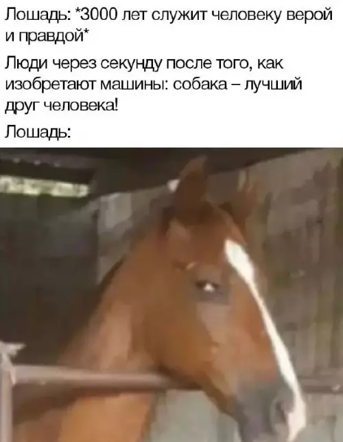 Смешная картинка №698586