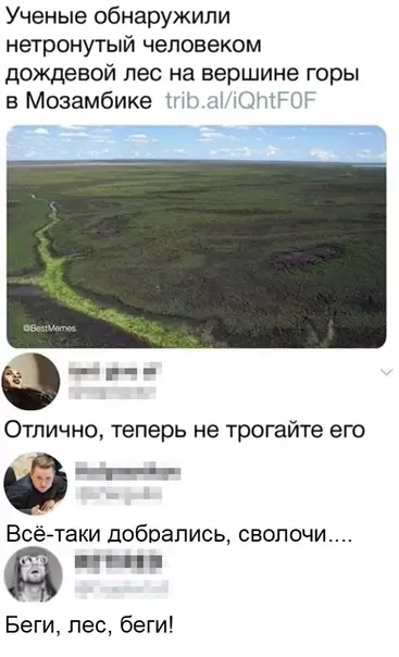 Смешная картинка №474808 теперь с этом лесом можно попрощаться