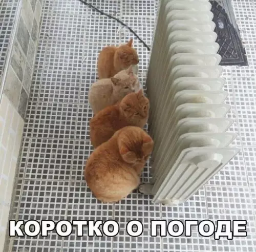 Смешная картинка №247855