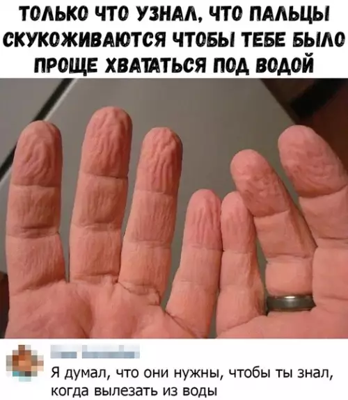 Смешная картинка №393300
