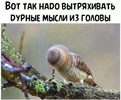 Смешная картинка №739761