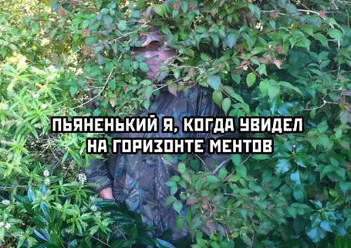 продолжение Смешная картинка №609280 Максимальный уровень маскировки