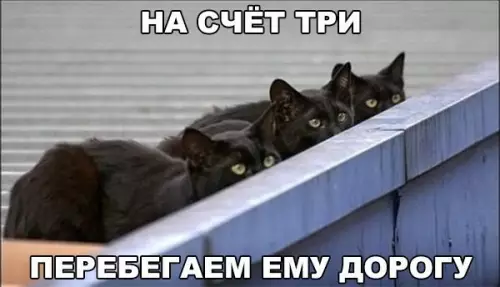 Смешная картинка №218560