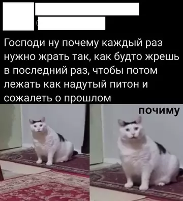 Смешная картинка №751304