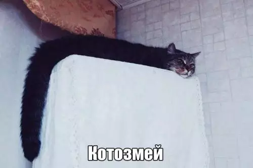 Смешная картинка №301489