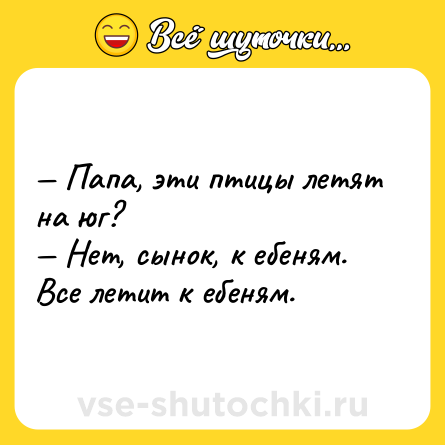 Шутка: — Папа, эти птицы летят на юг?<br>— Нет, сынок, к ебеням. Все летит к ебеням.