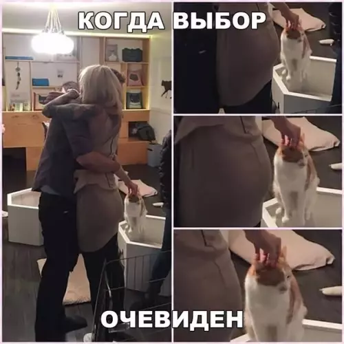 Смешная картинка №229455