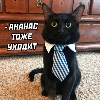 продолжение Смешная картинка №663239