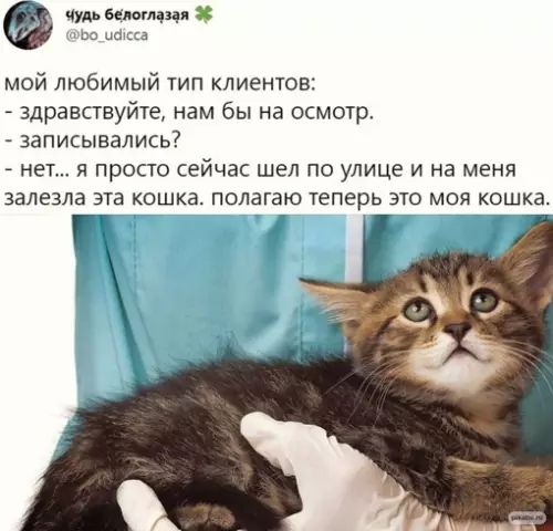 Смешная картинка №645389