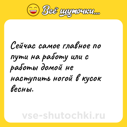 Шутка: Сейчас самое главное по пути на работу или с работы домой не наступить ногой в кусок весны.