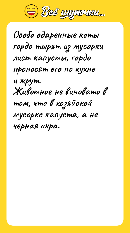 Особо одаренные коты гордо тырят из мусорки лист капусты, гордо