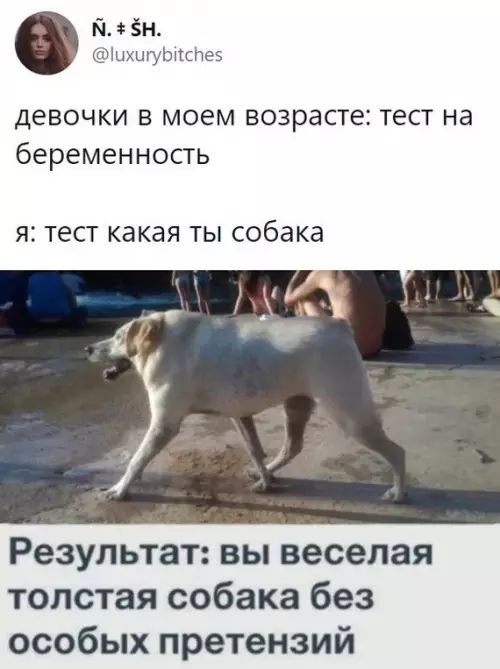 Смешная картинка №623813
