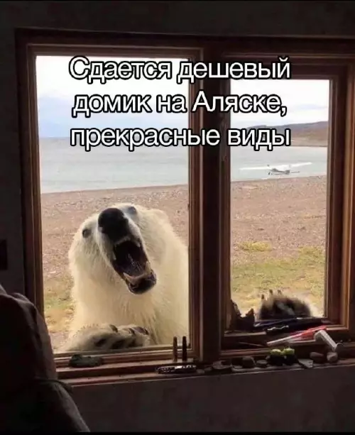 Смешная картинка №722485