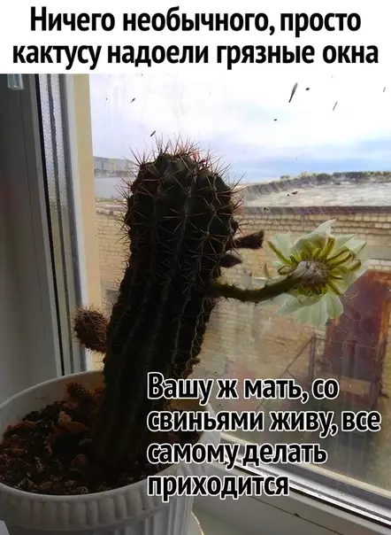Смешная картинка №282947