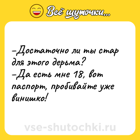 Шутка: –Достаточно ли ты стар для этого дерьма? <br>–Да есть мне 18, вот паспорт, пробивайте уже винишко!