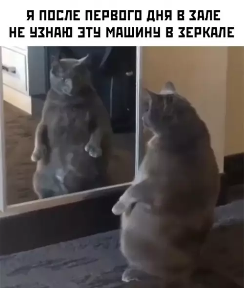 Смешная картинка №450235