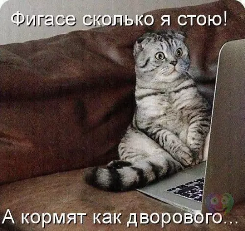 Смешная картинка №183518