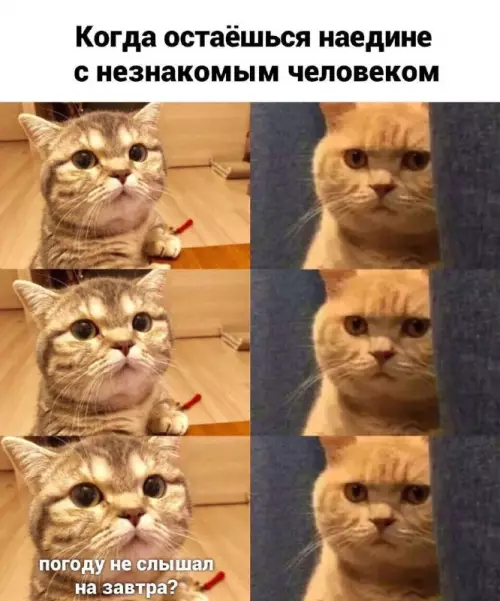 Смешная картинка №698345