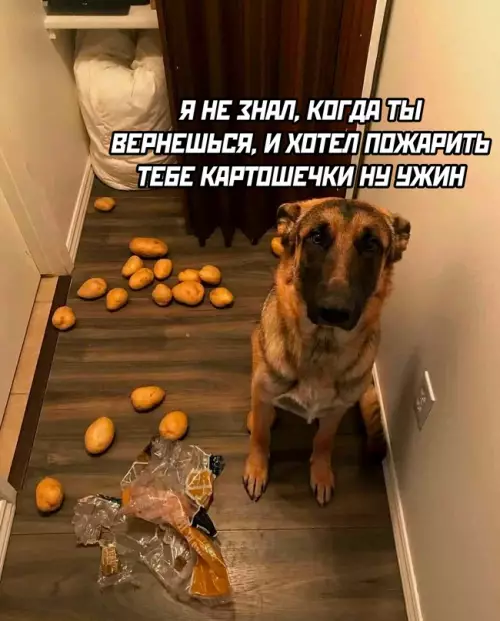 Смешная картинка №679613