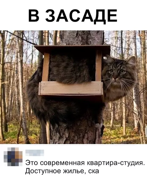 Смешная картинка №346699