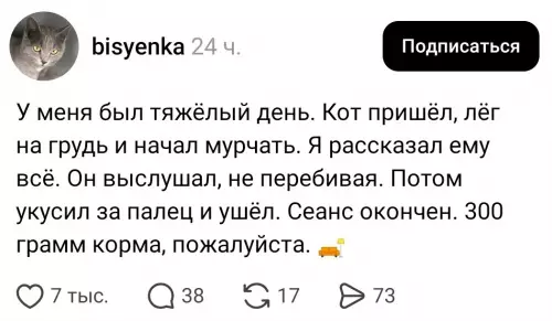 Смешная картинка №822345 Коты