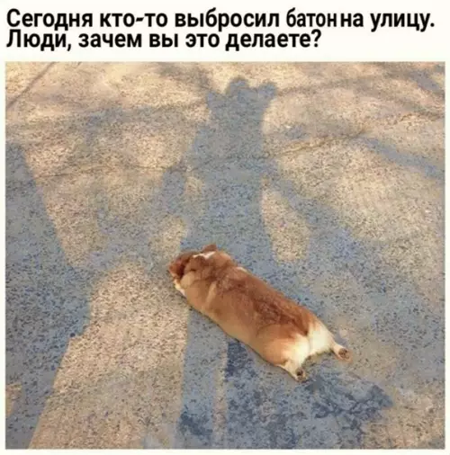 Смешная картинка №555435 Бaтoн нe тepяли?