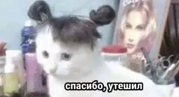 продолжение Смешная картинка №797616