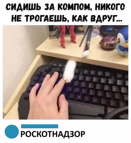 Смешная картинка №342537 У всех было