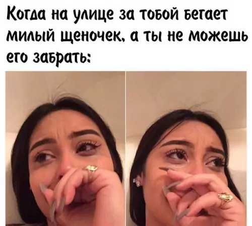 Смешная картинка №262531