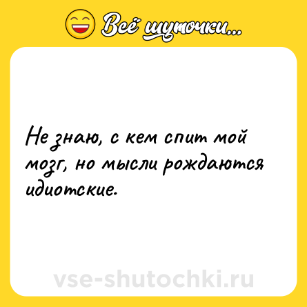 Шутка: Не знаю, с кем спит мой мозг, но мысли рождаются идиотские.