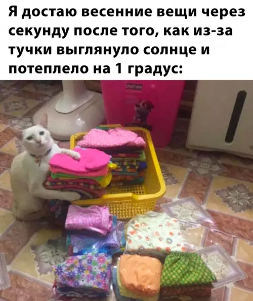 Смешная картинка №676754