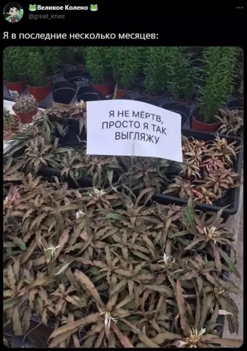 Смешная картинка №658291