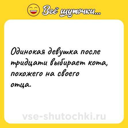 Шутка: Одинокая девушка после тридцати выбирает кота, похожего на своего отца.