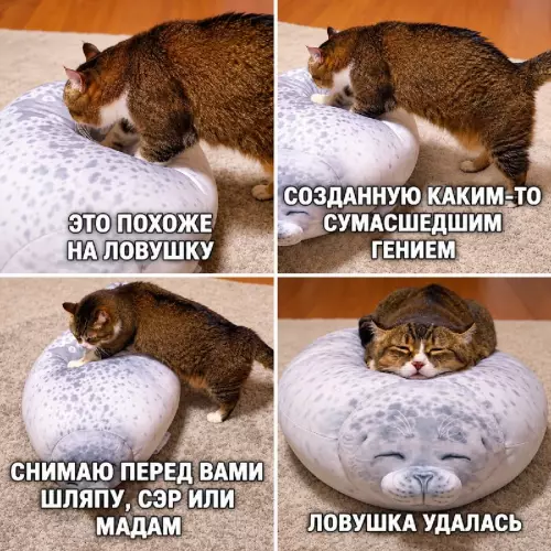 Ловушка для кота сработала! 😻 - ЭТО ПОХОЖЕ НА ЛОВУШКУ СОЗДАННУЮ КАКИМ-ТО СУМАСШЕДШИМ ГЕНИЕМ СНИМАЮ ПЕРЕД