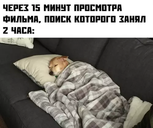 Смешная картинка №688408 Потому что все силы ушли на его поиски