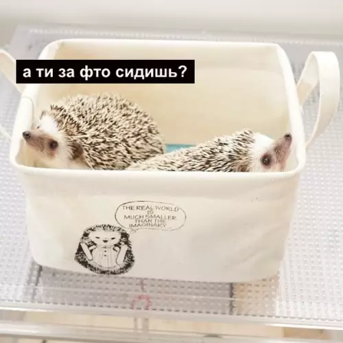 Смешная картинка №415597