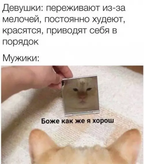 Смешная картинка №605161