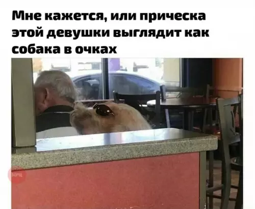 Смешная картинка №223936