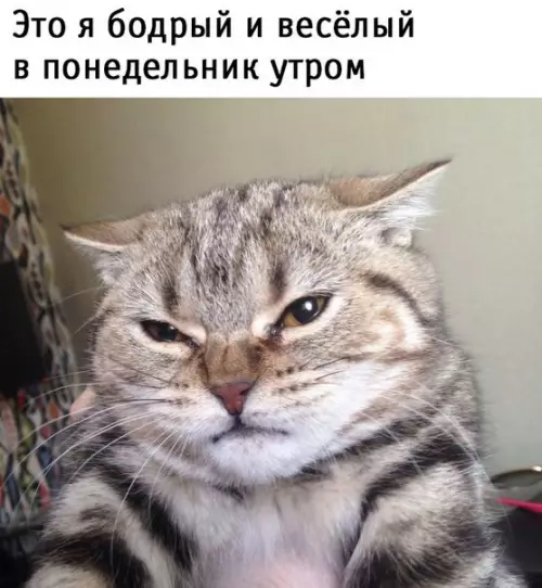 Смешная картинка №223620