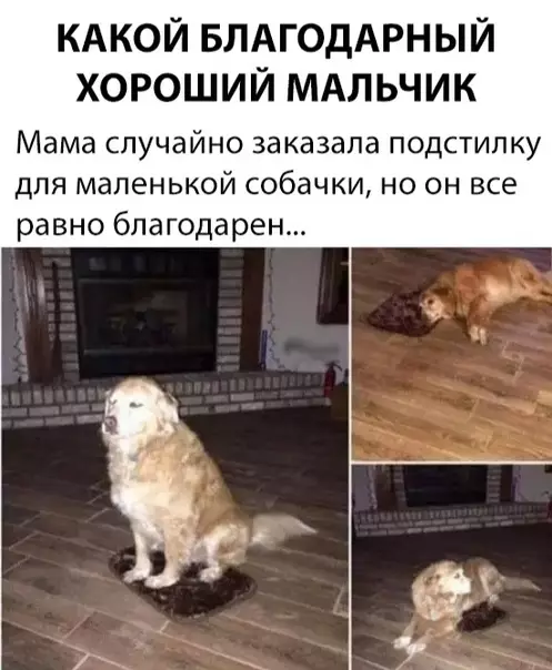 Смешная картинка №313934