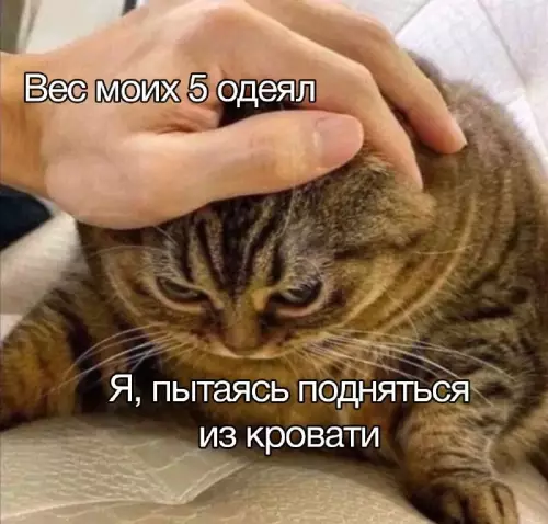 Смешная картинка №694517