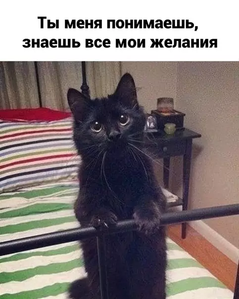 Смешная картинка №552721